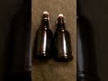 pratico kitchen swing top beer bottles review