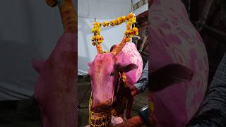 वसुबारस 2024 ||  Vasubaras 2024 Celebrates SATARA Festival with Gaumata Pooja || #gaumata #gopooja