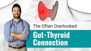 Thyroid Symptom Triggers: GUT-THYROID CONNECTION