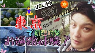 巡拝お遍路は四国だけじゃない⁉️東京は高幡不動で1日88ヶ所巡礼を体験‼️接写リングと共に幻想的にハイキング🚶‍♀️Hike 88 sacred sites in one day Vol.44