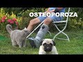 Osteoporoza