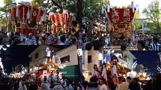 【5分版】令和4年 石切劔箭神社 秋祭り・稲田八幡宮 秋祭り 本宮