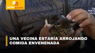 Grave caso de envenenamiento de mascotas en Usme | CityTv