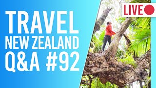 New Zealand Travel Questions - New Zealand Border Restrictions + Campervan Tips - NZPocketGuide.com