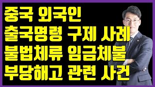 중국 외국인 출국명령 비자(visa)연장 구제 사례 [불법체류자 임금체불 / 부당해고 관련]