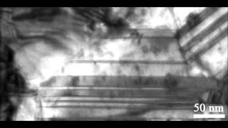 Transition of dislocation nucleation induced by local stress concentration in nanotwinned copper