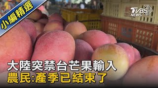 大陸突禁台芒果輸入 農民:產季已結束了｜TVBS新聞 @TVBSNEWS02