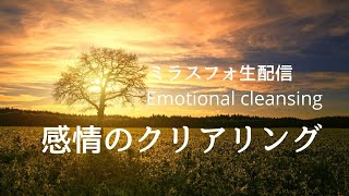 感情のクリアリング（Emotional Clearing)