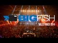 Bigfish Milestones 2014