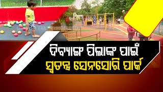 Special story | Divyang-specific park inaugurated in Bhubaneswar