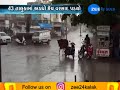 109 talukas in gujarat witness rain in last 24 hours zee 24 kalak