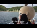 こぞうくん小湊で初めて船に乗る