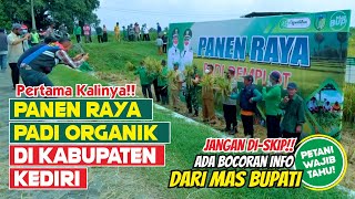 Meriahnya Prosesi Panen Raya Padi Organik Perdana di Kabupaten Kediri !!