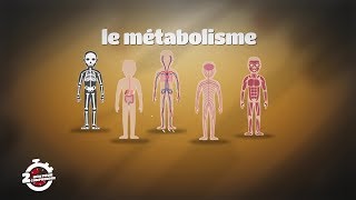 2mn pour comprendre LE METABOLISME du 14 Octobre 2019 par Polus Agathon