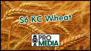 $6 KC Wheat