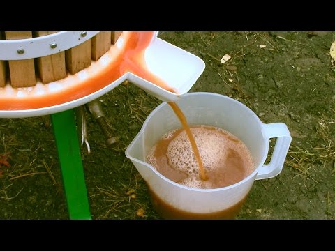 How to Easily make Apple Juice in a Press How to Easily make Apple Juice in a Press