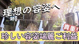 【遠隔参拝】小室浅間神社 容姿端麗のご利益で理想の容姿に　Komuro Asama Shrine