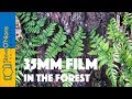 Landscape Film Photography - Out and About with 35mm Film