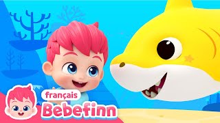 Bébé Requin | Chanter avec Bebefinn | Bebefinn en français 👶 Chansons pour Enfants