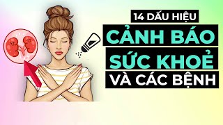 14 Dấu Hiệu Cảnh Báo Sớm VẤN ĐỀ SỨC KHOẺ VÀ CÁC BỆNH Mà Cơ Thể Mách Bảo Bạn