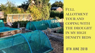 A full tour of the allotments, and how I'm coping with the drought in my high density beds