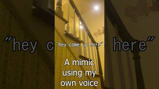 A mimic caught on camera using my voice