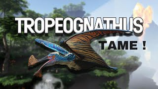 2023 UPDATED - SOLO TROPEOGNATHUS TAME LOCATIONS FJORDUR! (ARK SURVIVAL EVOLVED)