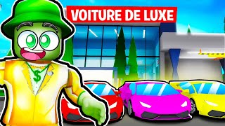 J’ai Ouvert UN MAGASIN DE VOITURE DE LUXE sur BROOKHAVEN RP !