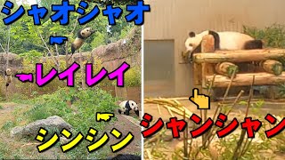 上野動物園に行こう！🐼 ① ~2022年4月20日