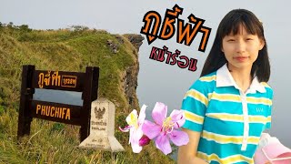 น้ำผึ้ง ม้งโซ่ง Ep.9 | ภูชี้ฟ้าหน้าร้อนสถานที่ท่องเที่ยวใกล้บ้าน