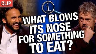 QI | What Blows Its Nose For Something To Eat?