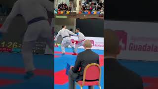 Amazing ippon 🔥💯#karate👊#wkf#akf#martialarts#kumite#ippon#kick#subscribe😘