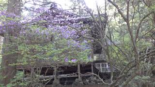 荒船山の風景　群馬県甘楽郡　2018年5月5日撮影