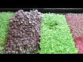 complete guide to microgreens harvesting packaging