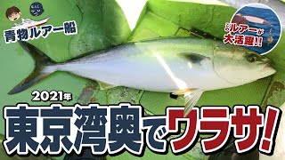 【青物／イナダ・ワラサ】2021年 秋の東京湾奥で青物ルアー船！ ブレードジグが大活躍！