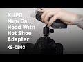 KUPO Mini Ball Head With Hot Shoe Adapter (KS-CB03)