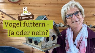 Vögel füttern ja oder nein? Ganzjährig, nur im Winter oder gar nicht?