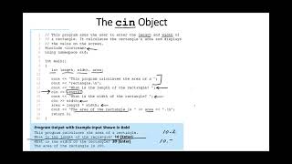 29 - cin object in c++