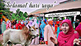 ฮารีรายอ เทศกาลวันสำคัญของอิสลาม Hari Raya Qurban di Thailand,harga Qurban sapi murah sekali mengapa