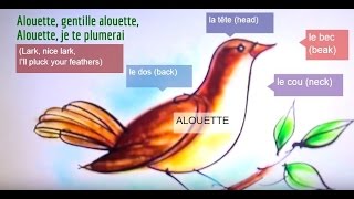 Alouette - French Lyrics with English Translation
