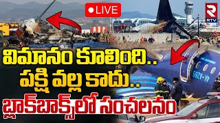 విమానం కూలింది..పక్షి వల్ల కాదు🔴LIVE : Jeju Air plane crashes in South Korea | Black Box | RTV