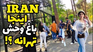 What is going on in the strangest zoo in Tehran, Iran? ایران 2023