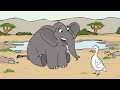 inside the mind of an irish elephant sminky shorts elephant