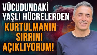 Gençleştiren Açlığın Sırları! Bu Besinleri Mutlaka Tüket! Vücudun Atık Yönetimini Sağlama Yolu