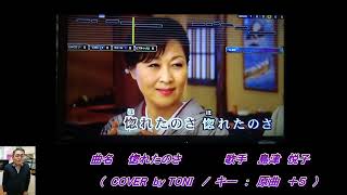 惚れたのさ / 島津悦子 / COVER BY TONI