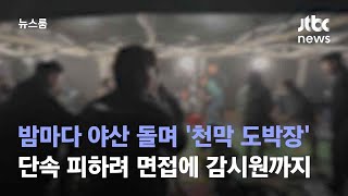 밤마다 야산 돌며 '천막 도박장'…단속 피하려 면접에 감시원까지 / JTBC 뉴스룸