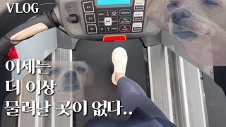 [VLOG] 미루고 미뤄왔던 다이어트 시작하는 브이로그..(울먹)