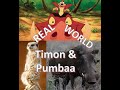 Timon and Pumbaa in the real world! All things meerkat and warthog!