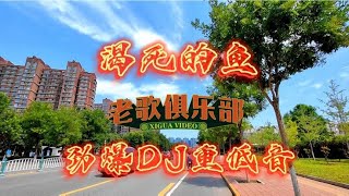 劲爆DJ重低音《渴死的鱼》，节奏强劲，经典好听，超级震撼！