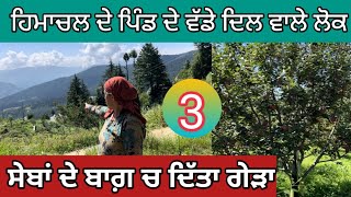 ਹਿਮਾਚਲ ਦੇ ਪਿੰਡ ਦੇ ਵੱਡੇ ਦਿਲ ਵਾਲੇ ਲੋਕ । Kufri homestay ਚ ਰੁਕੇ ਖਾਦੇ ਸੇਬ। kufri vlog